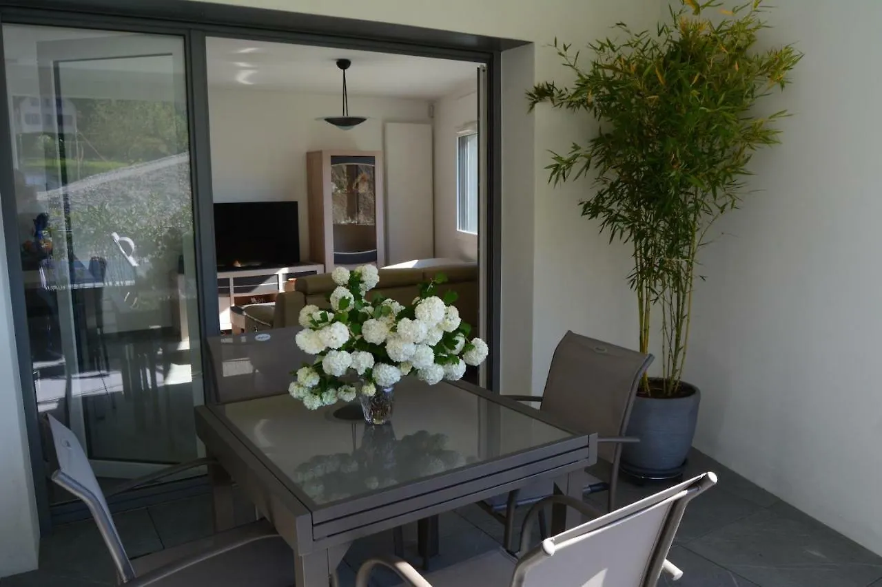 Le Tableau Du Lac 507 - 2 Bedrooms Apartment With Lake View Terrace アヌシー フランス